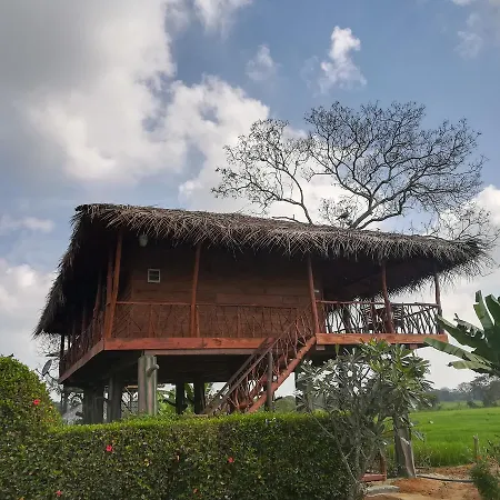 Villa The Hideout Sigiriya Exterior foto
